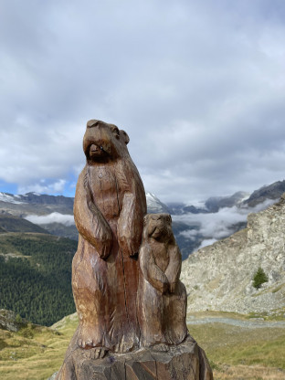 Murmeltiere, Zermatt, Wanderung